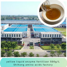 Enzymatic Amino Acid Liquid 500g/L OMRI 8-0-0 Organic Liquid Fertilizer for Field Cash Crops thumbnail-2