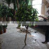 Make Artificial Pineapple Trees