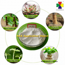 Hot Sale Chemical Naa 98%TC 1-Naphthylacetic Acid for Sale thumbnail-2