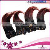 Stock!!!Fashion Ombre Colored Two Color Malaysian Remy Hair