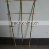 Bamboo Trellis Sun-004 thumbnail-1