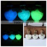 Glow In The Dark Necklace with Fairy, Fantasy Glowing Jewerly wishing bottle necklace