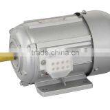 YE2-315L2-4 (4 Pole Three Phase High Efficient Asynchronous Industry Motor AC Motor) thumbnail-1