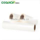 BOPP+EVA Coated Film/Thermal Laminating Film/Ultra Sticky thumbnail-4