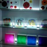 frosted decorative wall glass block