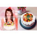 Multifunction 100 Piece Cake Decorating Kit Molds Set Cake Decorating Tools thumbnail-5