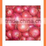 Export China Fresh Organic New Crop Red and Yellow Onion thumbnail-4