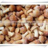 Integrity Supplier/quality Guarantee/delicious China Frozen Food Mushroom thumbnail-6