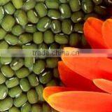 Dalian Jinshengxi International Trading Co., Ltd. company overview - view 2 thumbnail