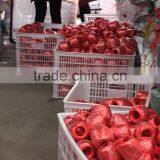 Best Price Color Polyethylene Packing Rope thumbnail-4