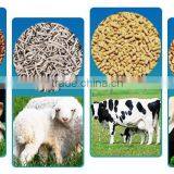 China Manufacturer Rotary Distributor / Feed Bucket Elevator Price thumbnail-6