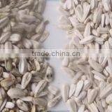 Automatic CCD Color Sorter/seperator Machine Price for Sunflower Seeds thumbnail-2