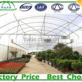 Ganvanized Steel Frame Plastic Film Commercial Greenhouse thumbnail-2