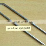 Galvanized Sod Staple