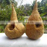 Bird Nest thumbnail-1