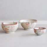 Japanese ceramic noodle bowl with hand painting