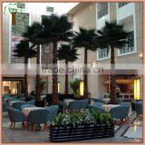 Big Artificial Palm Tree With Fan Shape Palm Branches and Real Palm Bark thumbnail-1
