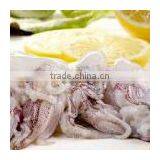 Baby Squid IQF thumbnail-1