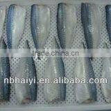 Frozen Mackerel Fillets thumbnail-1
