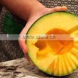 ST-2438 Stainless Steel Fruit Digging Spoon and Fruit Carving thumbnail-5