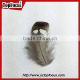 Hot Sale Dyed Wholesale Natural Cheap Artificial Pheasant Feathers Prices thumbnail-2
