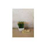 Artificial Seedling,seedling Grass,130077 thumbnail-3