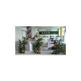 Dongguan Jingfeng Electron Scinece Technology Co.,Ltd company overview - view 1 thumbnail