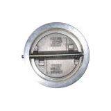 Cryogenic Check Valve