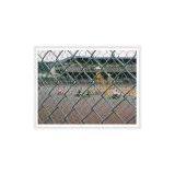 Chain Link Fence Machine thumbnail-3
