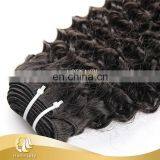 Bottom Price fair trade hair brazilian virgin hair kinky curly 5A grade