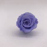 Preserved Flower Rose for Decor Supplies thumbnail-2