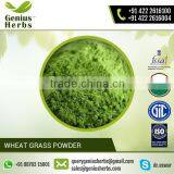 Energy Booster Wheat Grass Powder From Leading Manufacturer at Premium Rate thumbnail-1