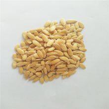 Sweet Star No.21 Resist Diseases Hybrid Musk Melon Seeds thumbnail-5