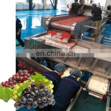 Manufacture Fruit Juicer Extractor and Processing Machine Production Line thumbnail-5