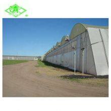 Best Selling 5 Years Warranty PO Film UV Stabilized Plastic Greenhouse Cover For Pertanian thumbnail-3
