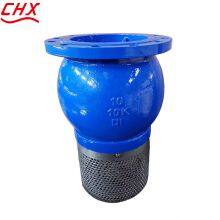 JIS/ANSI/DIN Foot Valve Cast Iron GGG50 Ductile Iron Flange Stainless Steel Filter Strainer Water Pump thumbnail-1