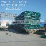 1/4"-3" Galvanized Welded Wire Mesh /pvc Coated Wire Mesh