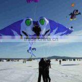 Inflatable Kite