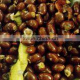 Longan Crusher Separator thumbnail-2