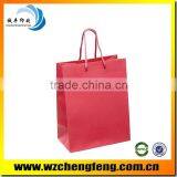 Kraft Paper Shopping Gift Bag With Twisted Paper Handles