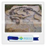 High Quality Original Size Dinosaur Fossil