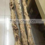 New Product Ornamental Window Display Tree Props thumbnail-1