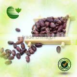 Purple Speckled Kidney Beans thumbnail-1