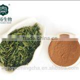 100% Natural Green Tea Extract Catechin With Low Price thumbnail-4