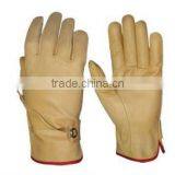 Horse Ridding Gloves
