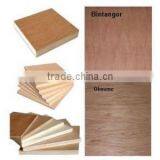 Hardwood Core/poplar Core/combi Core Plywood