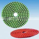 Dry Diamond Polishing Pad