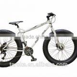 N28-FAT BIKE