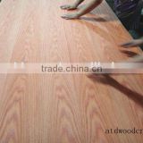 America natural red oak veneer plywood from Linyi