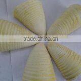 IQF Bamboo thumbnail-1